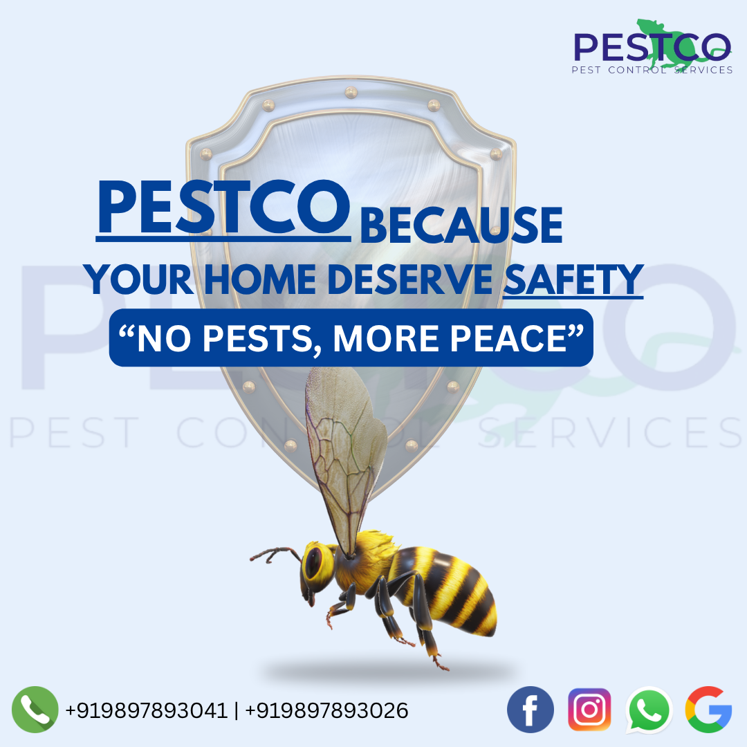 Pestco 8